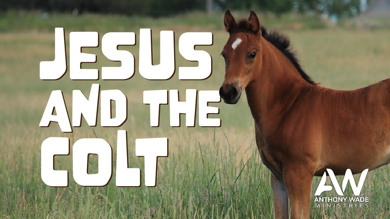 Jesus and the Colt | Anthony Wade