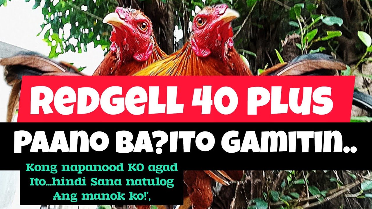 para sa MGA baguhan.. redgell 40 plus review/paano ba paggamit nito