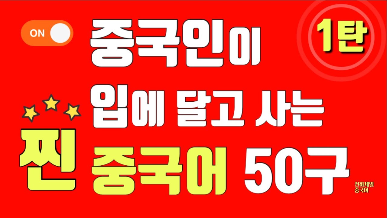 【찐좋은표현】중국인이 입에 달고 사는 찐 중국어 50구 1탄 #천하제일중국어 중국어 쉐도잉