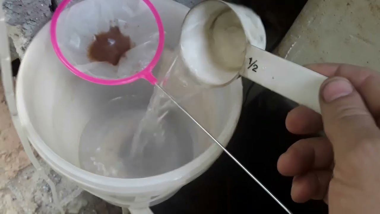 Melhor técnica para eclodir cisto de artemias