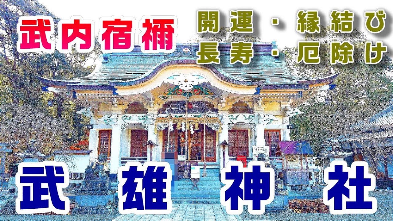 樹齢3000年の御神木 【武雄神社】 佐賀県武雄市のパワースポット神社  Takeo Shrine
