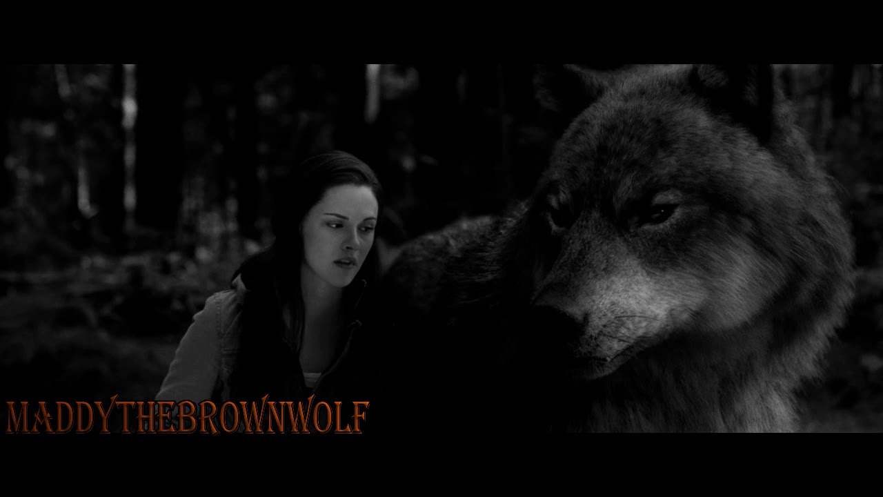 twilight wolves -  monster (MILCK)
