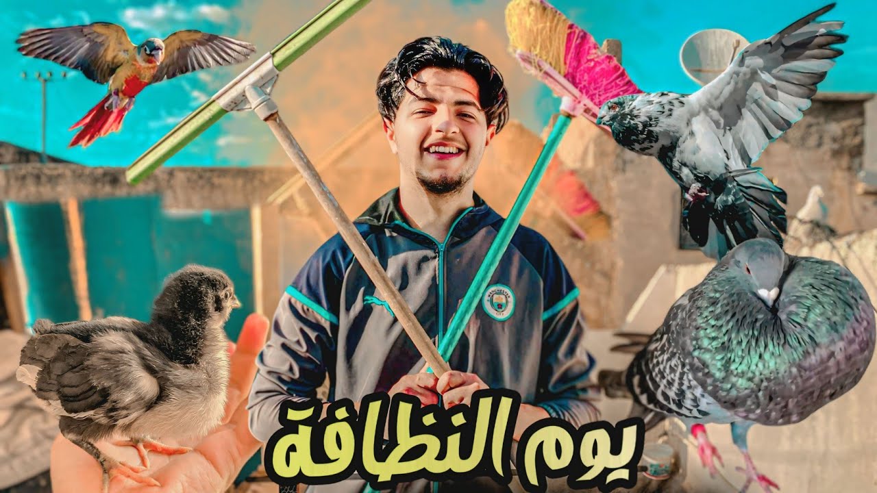 تحدي يوم كامل في سطح مع الحمام و دجاج 🤯 يوم النظافة ❤️
