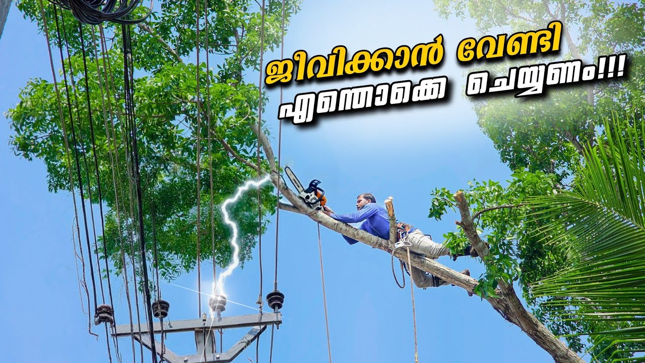 KSEBക്കാർ നോക്കി നിൽക്കേ ഈ പണി ചെയ്യേണ്ടി വന്നു😮!!! Cutting the branches above electric lines
