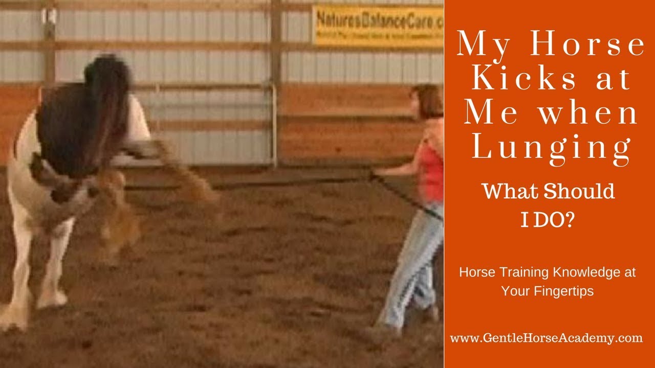 My Horse Kicks at ME When Lunging | What Should I DO?