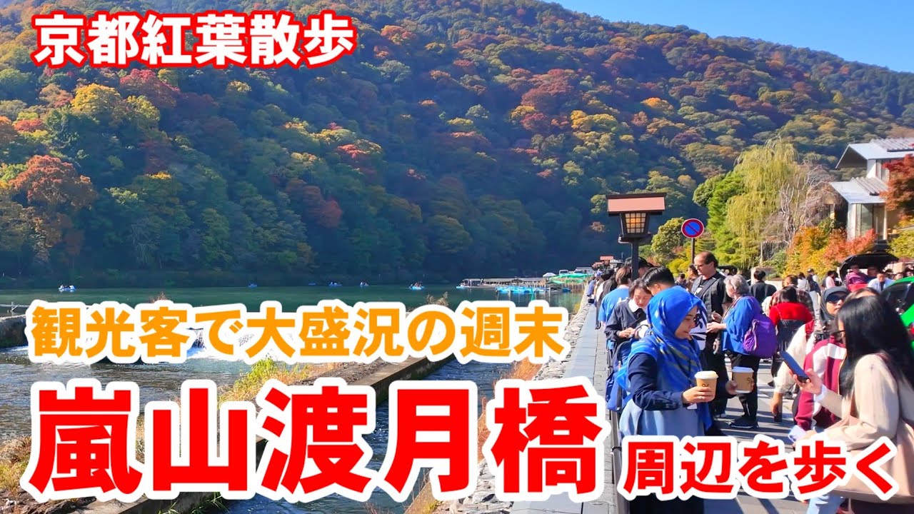 11/8(土)京都紅葉散歩🍁週末観光客で大盛況の嵐山渡月橋周辺を歩く【4K】Kyoto Arashiyama Walk