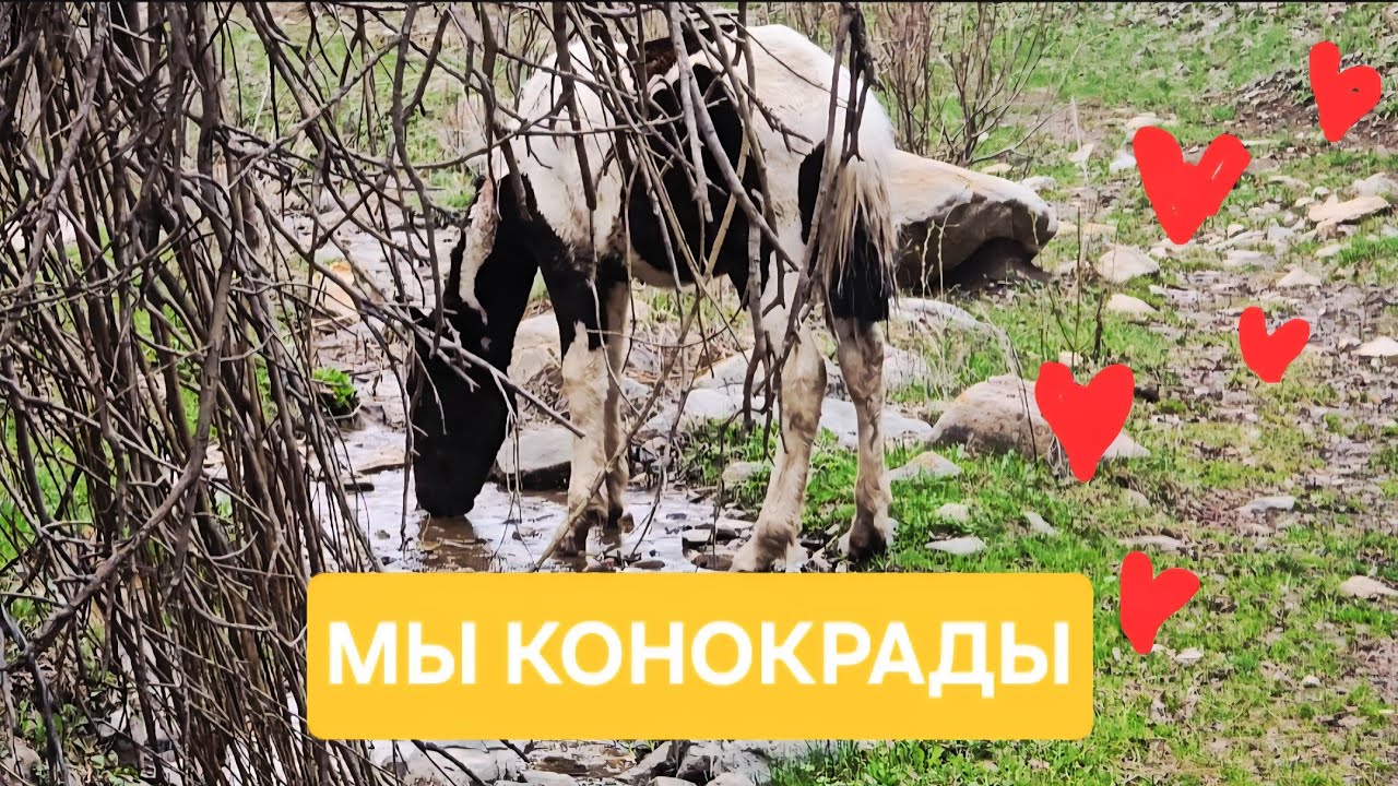 Как мы нашли коня😁