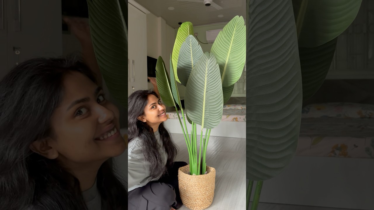 Aesthetic Room Decor Haul from Amazon | Artificial plant | traveler&rsquo;s Palm 🪴#shorts #amazonfinds