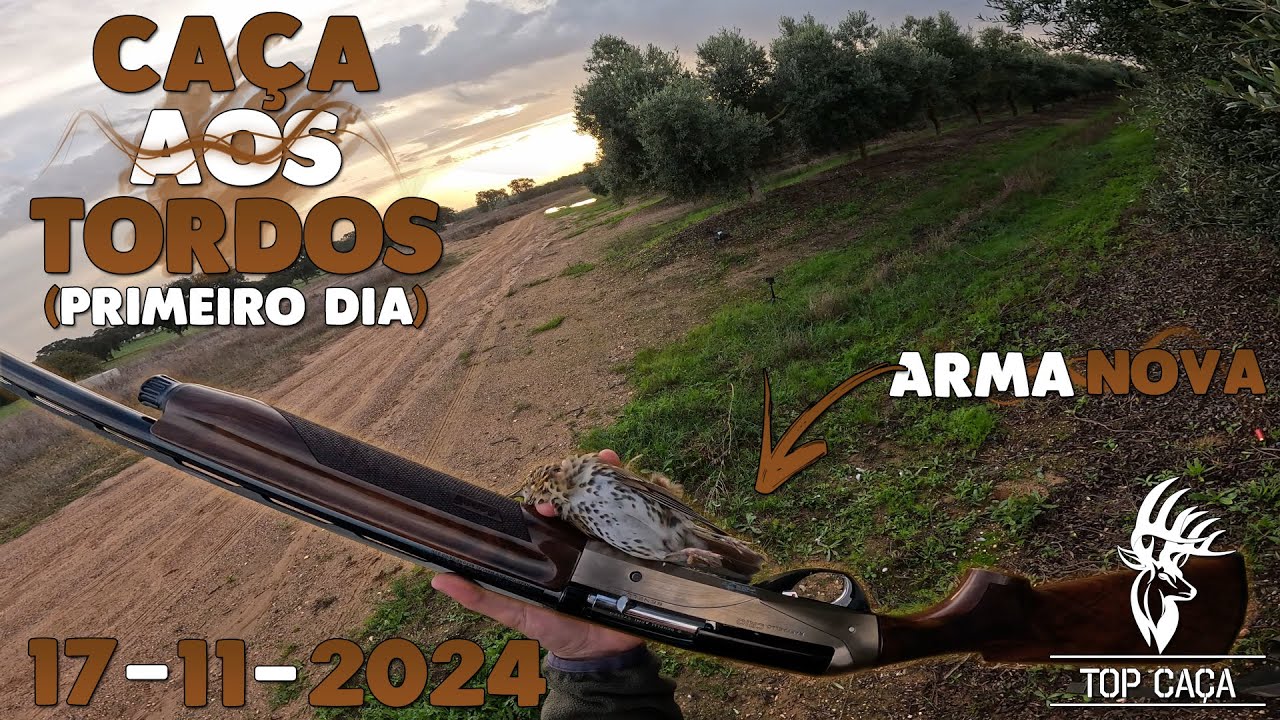 CAÇA AOS TORDOS 17-11-2024 (PRIMEIRO DIA 2024/2025)