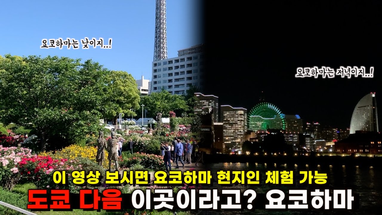 [요코하마 여행 브이로그] 도쿄 다음 이곳이라고? I 요코하마 1일 총정리 I 요코하마 여행 이렇게 하세요