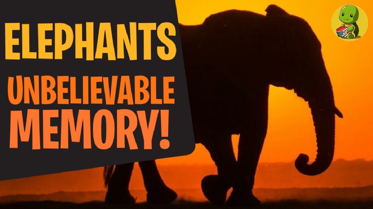 How Good Is an Elephant&rsquo;s Memory? The Truth Will Shock You!