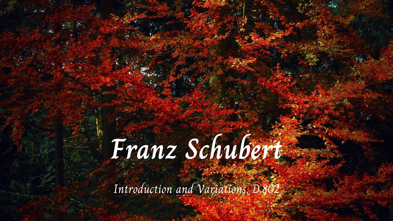 Introduction and Variations, D.802 - Franz Schubert 🎵