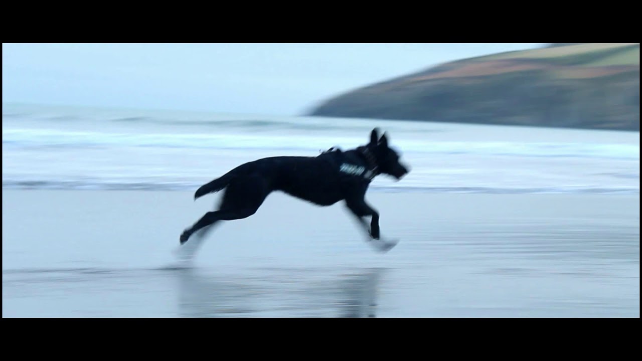 The Lloyds Bank Advert But Worse