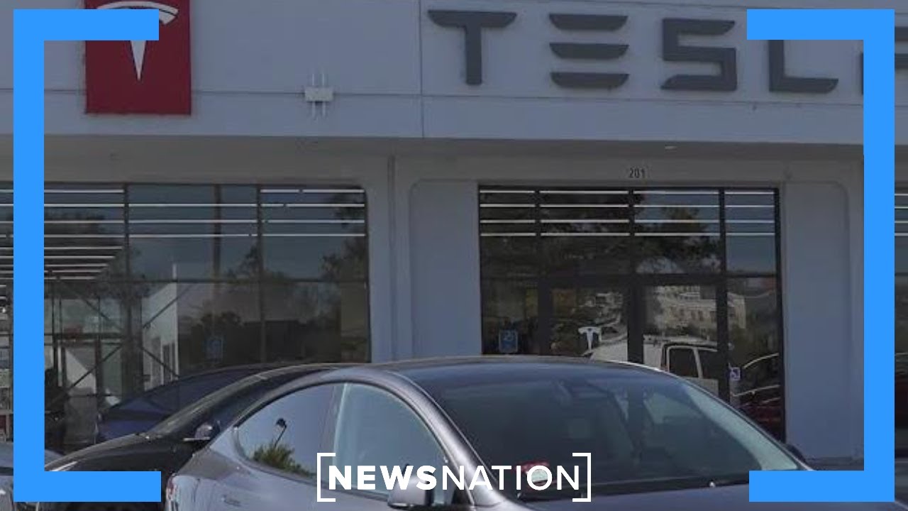 Tesla ordered by Florida jury to pay $243M in fatal Autopilot crash | NewsNation Now