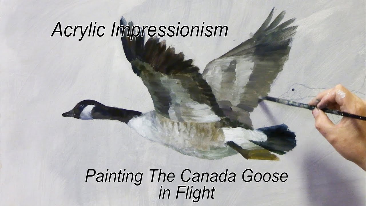 Painting the Canada Goose in Flight  Acrylic Impressionism