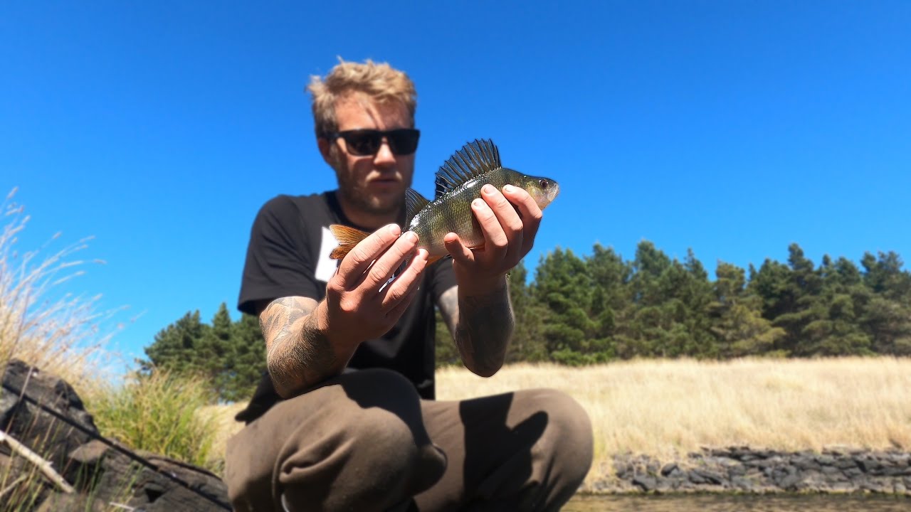 Redfin Fishing has NEVER been this good! | Catch and release | Ep. 28