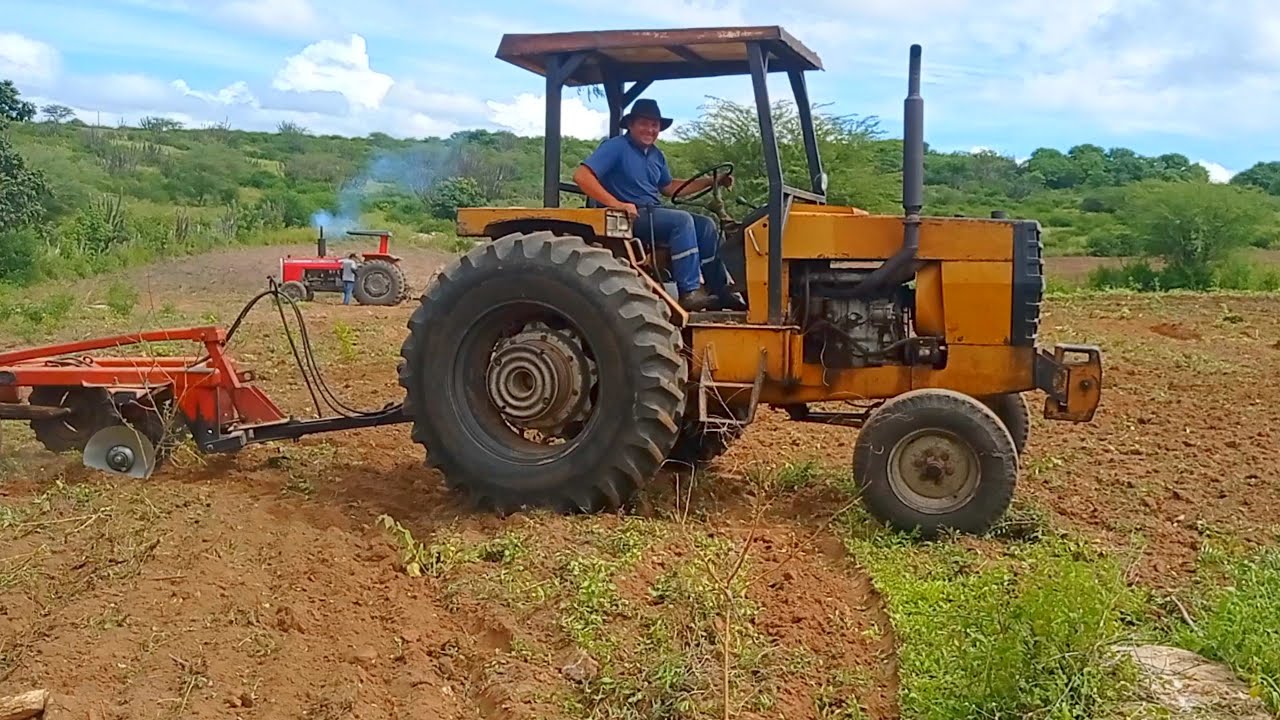 Exame de abelha ataca o tratorista do massey Ferguson 296  no barbaço de araruna pb