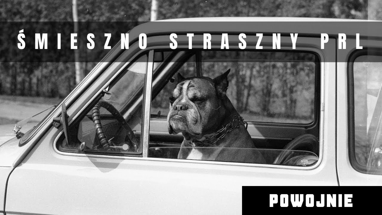 PRL w krzywym zwierciadle. Absurdy socjalistycznej Polski. Bez papieru toaletowego i w kolejkach.