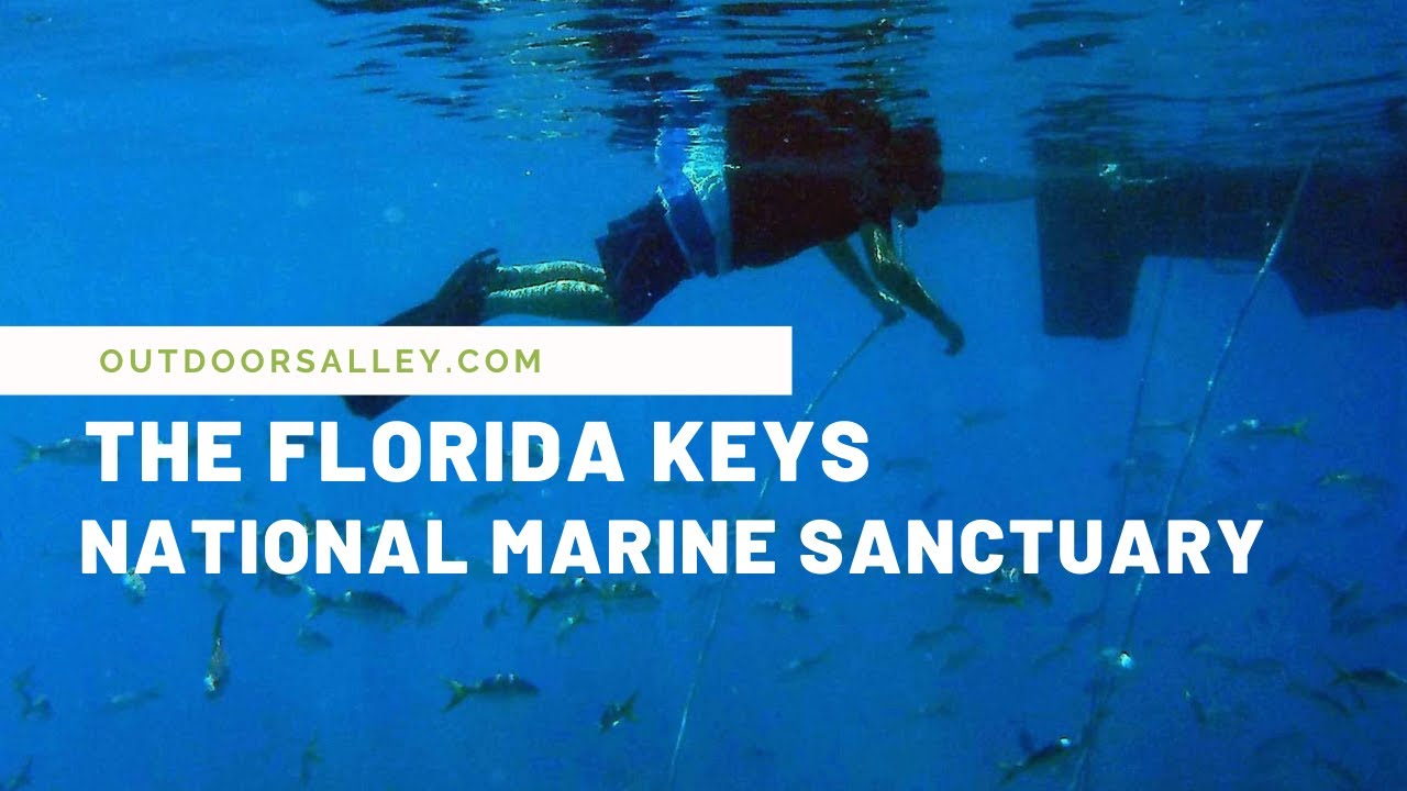 The Florida Keys National Marine Sanctuary