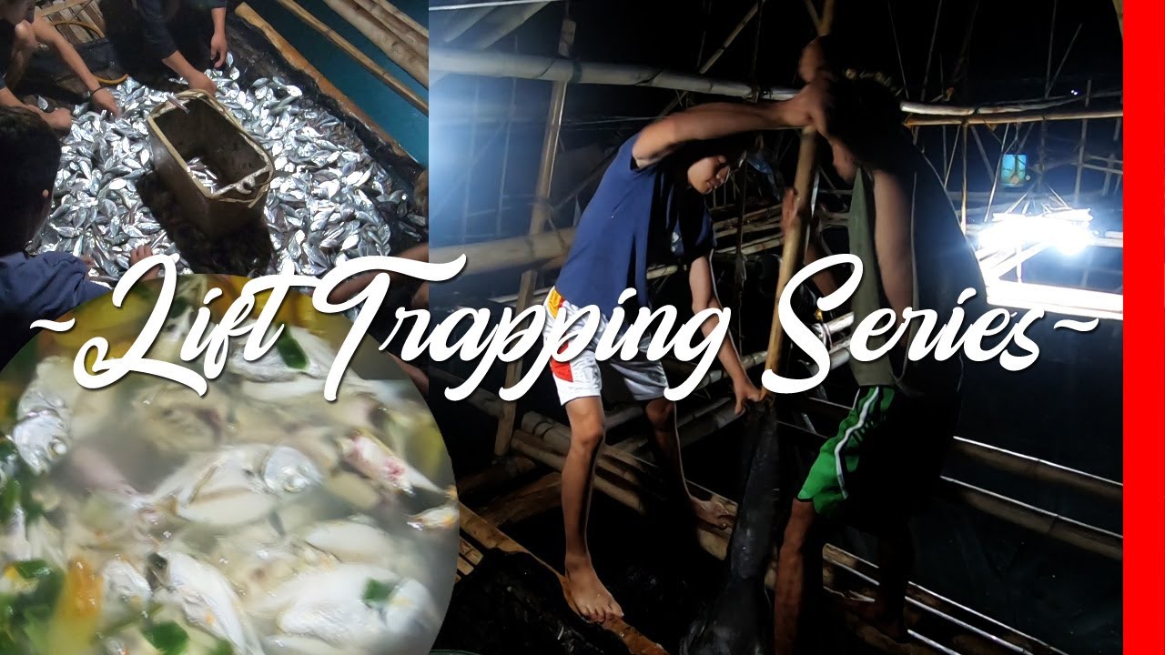 🐟 Fish Trapping | 2021 Episode 3 (Mervin)