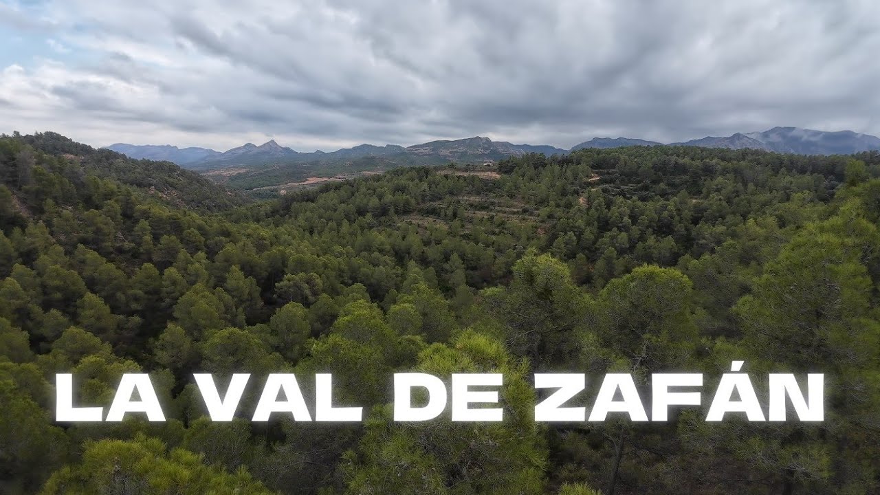 LA VAL DE ZAF&Aacute;N 1
