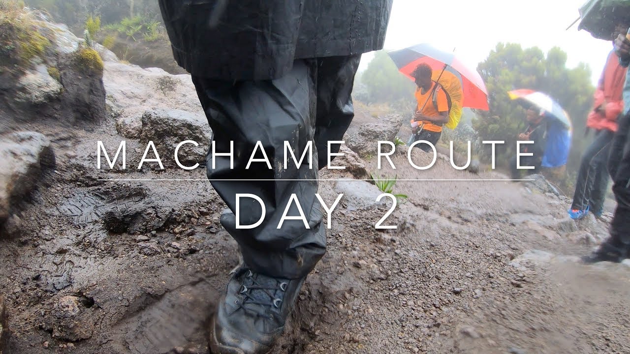 Machame Route - Day 2