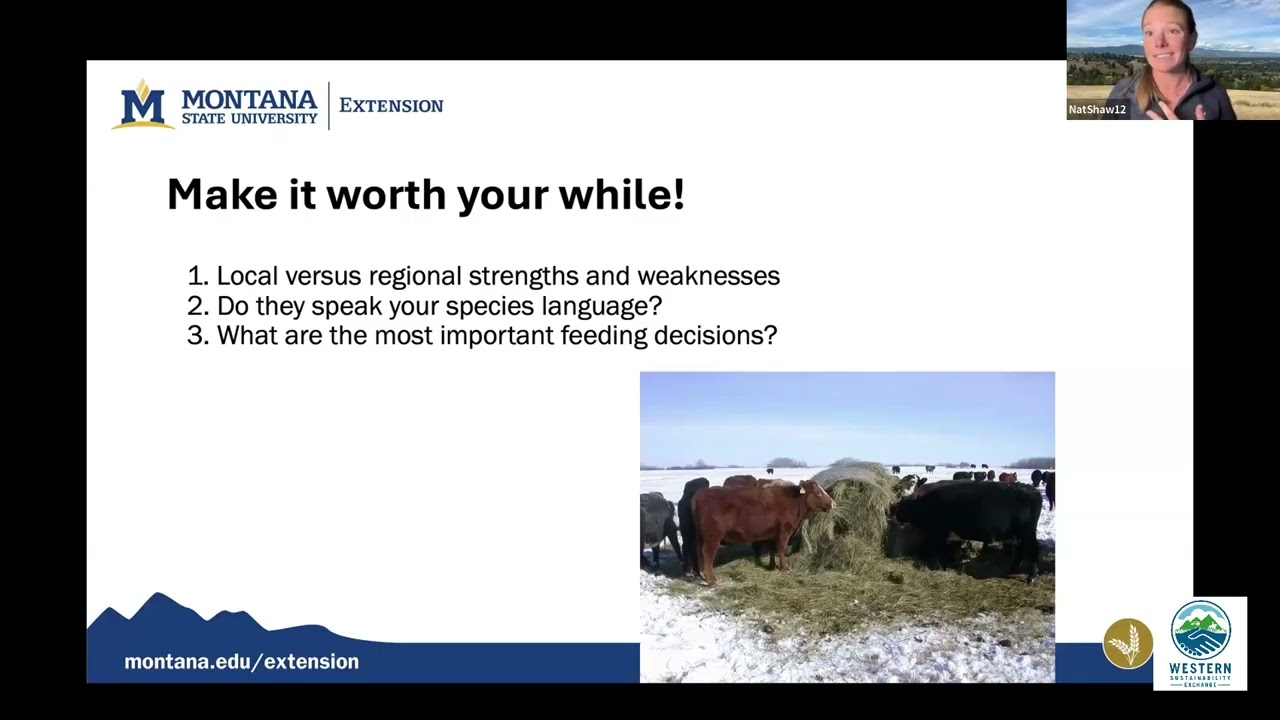 Maximizing Herd Performance with Balanced Nutrition