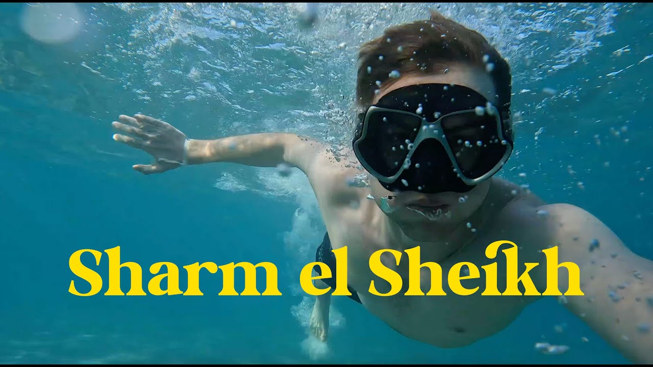 Immersioni a Sharm el Sheikh - Dove andare in Vacanza Sub Mar Rosso