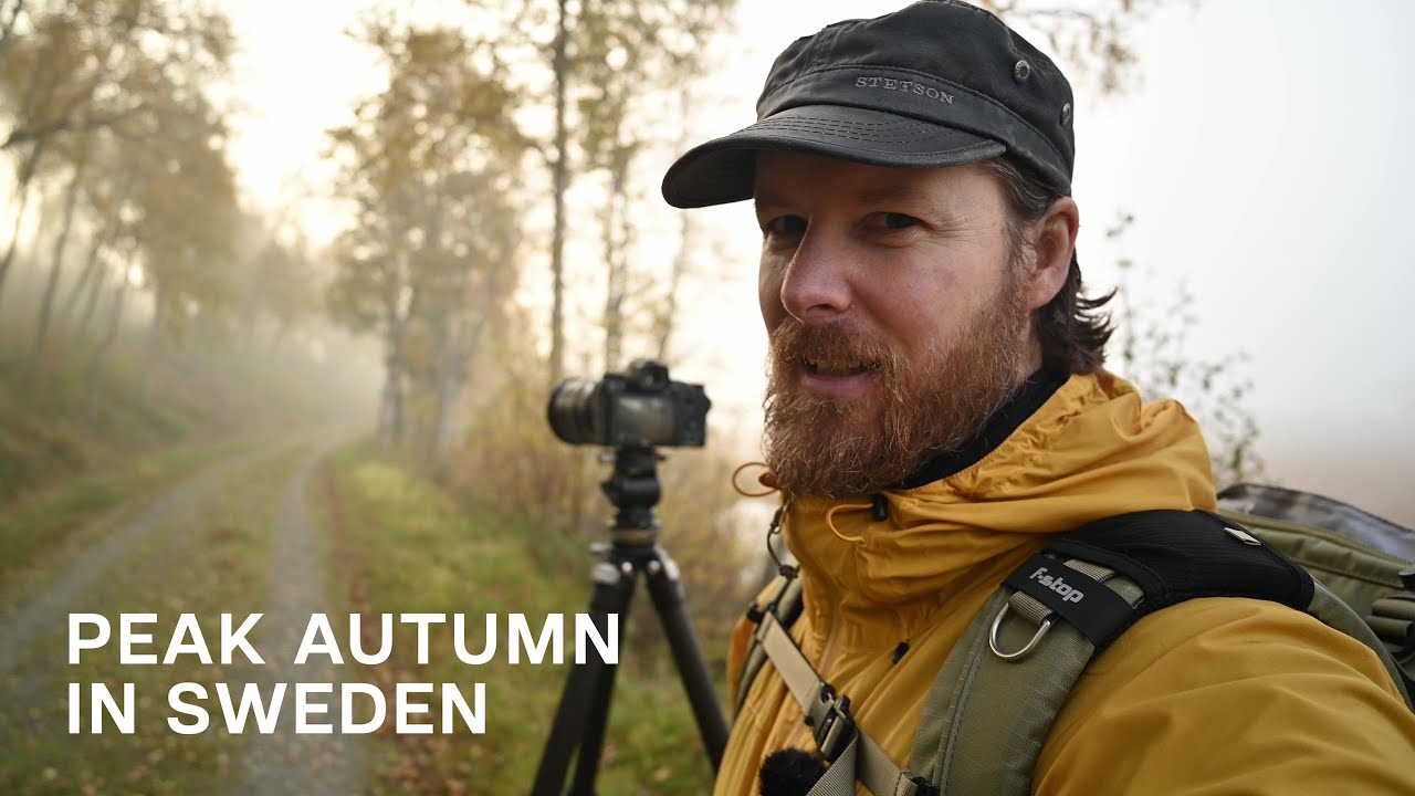 Peak AUTUMN Landscape Photography | Wildlife and Landscape Photography