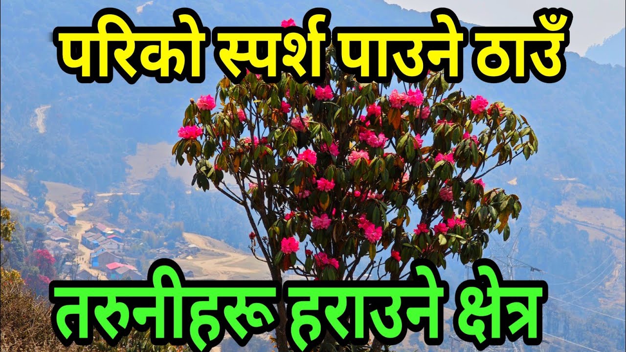 उराठ लाग्दा नागिहरू यतिबेला बेहुलि भै सिगारिएका छन || The Amazing place Rake Lekh Chouki