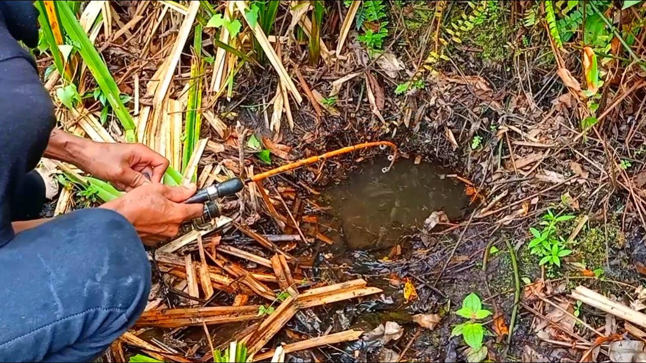 PEMANCING IKAN LEMBAT | MANCING IKAN LEMBAT DAPAT BESAR DI LUBANG MISTERIUS | fishing 2025