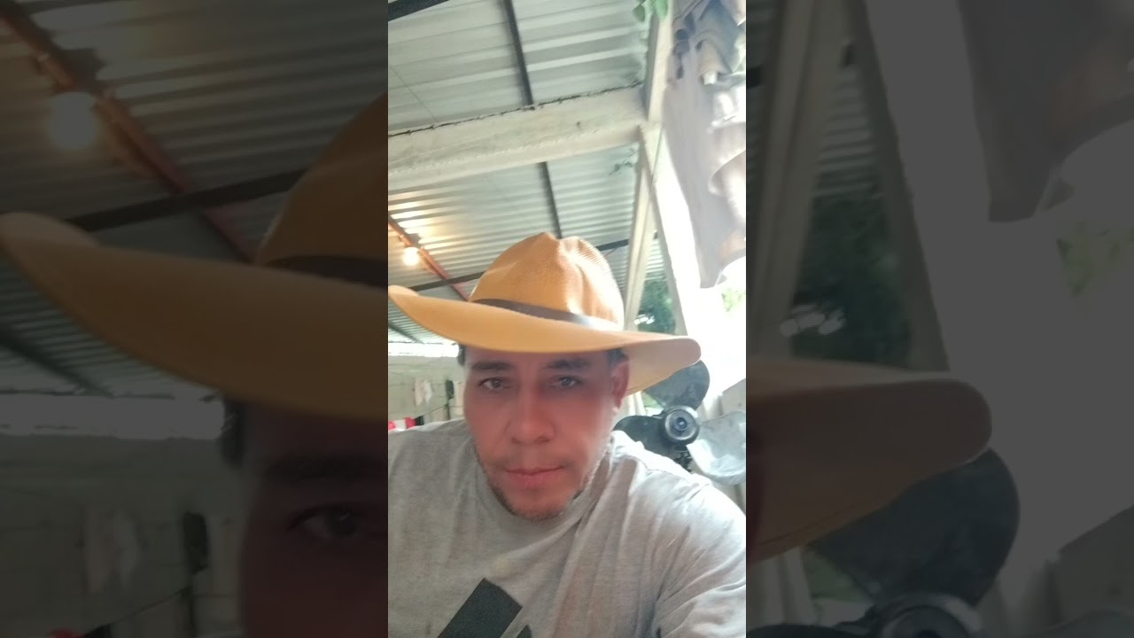 31 de enero de 2026