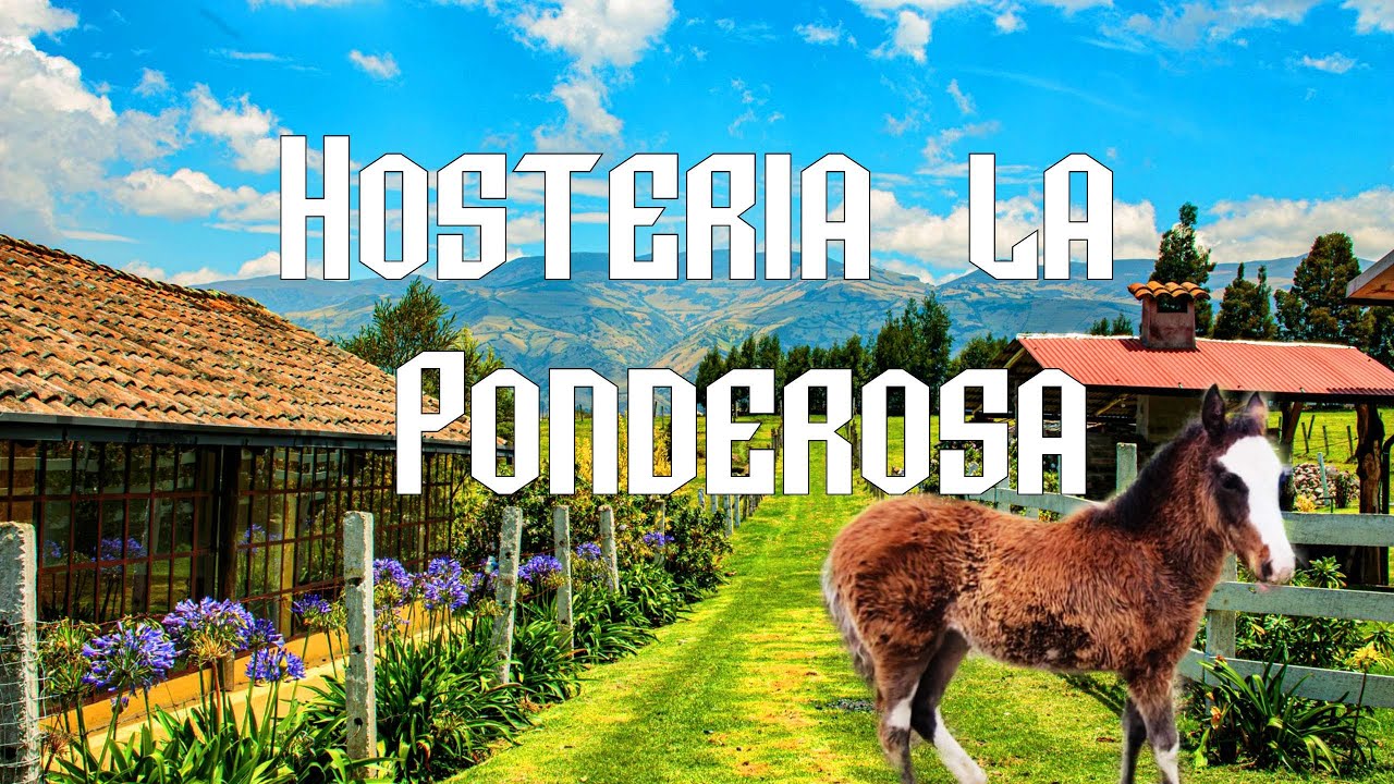 HOSTERÍA LA PONDEROSA, PINTAG, ECUADOR | TOURIST COMPLEX ECUADOR CAMPING, GLAMPING HOSTERÍAS ECUADOR