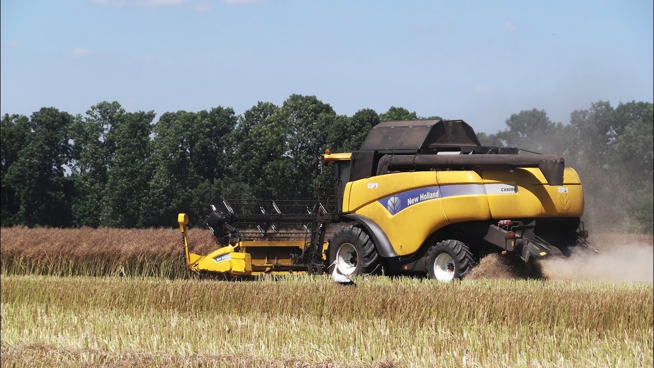 ☆Żniwa Rzepaczane 2017☆New Holland CX 8080, New Holland TM 120, New Holland T6030☆Łódzkie AgroFarm㋡