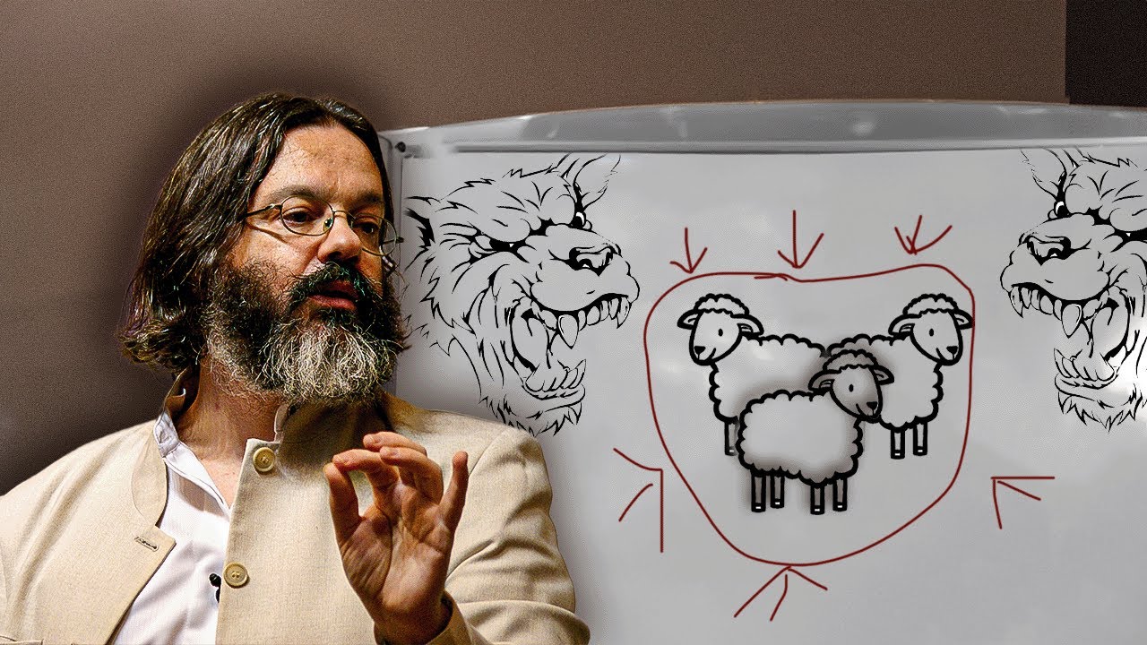 Les vielles âmes sont comme des brebis au milieu des Loups - Olivier Manitara