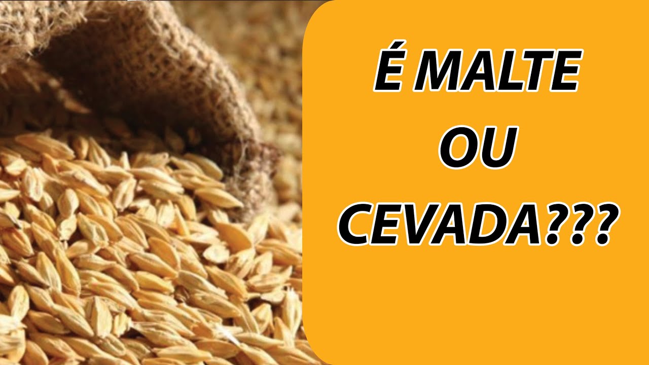 O que é MALTE e porque ele é necessário pra fazer cerveja?| FAZ CERVEJA