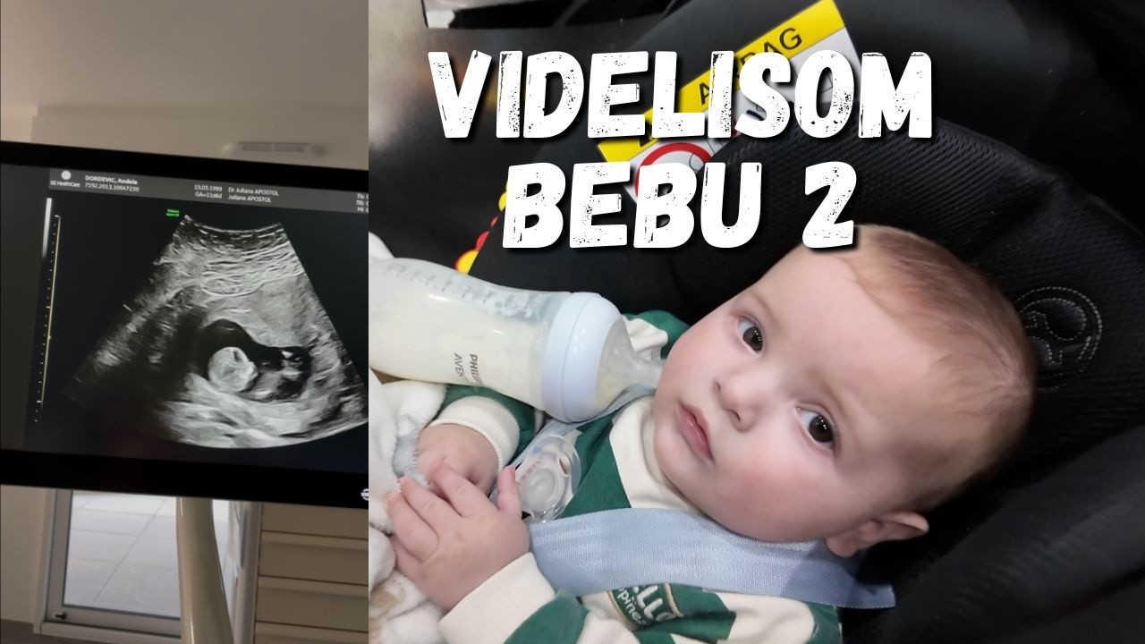 PRVI PREGLEDI U PRVOM TRIMESTRU - videli smo bebu! *moja 2  trudnoca u francuskoj*