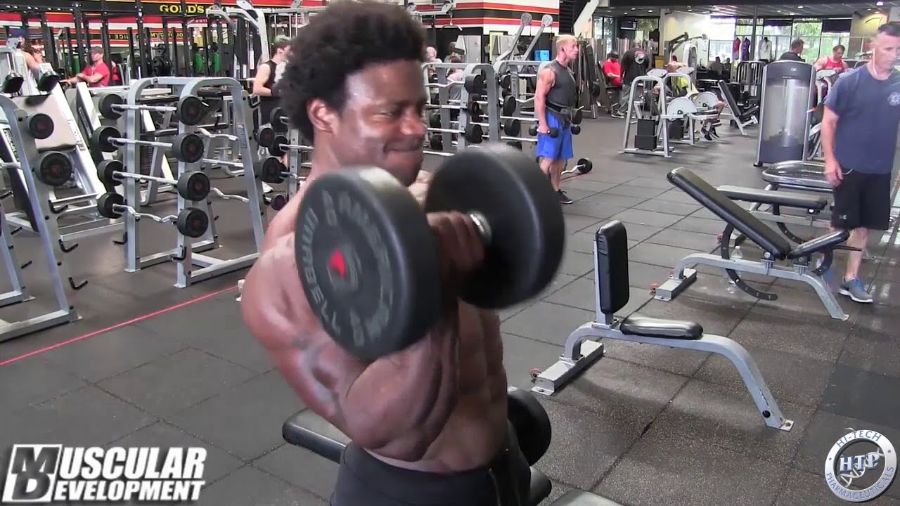 Breon Ansley's Biceps Workout | Mr. Olympia 2017