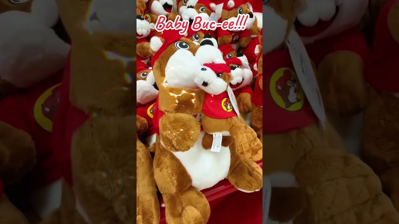 Baby Buc-ee! 
