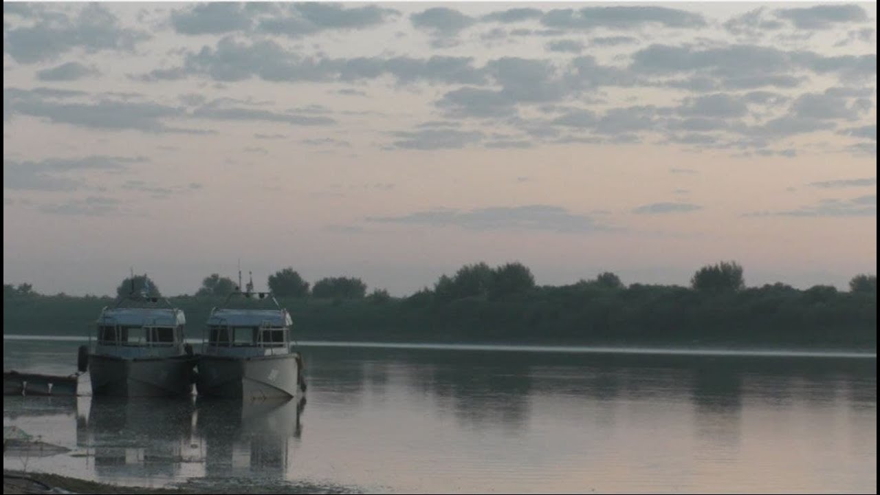 РЫБАЛКА НА СЫРДАРЬЕ | РЫБАЛКА НА САЗАНА