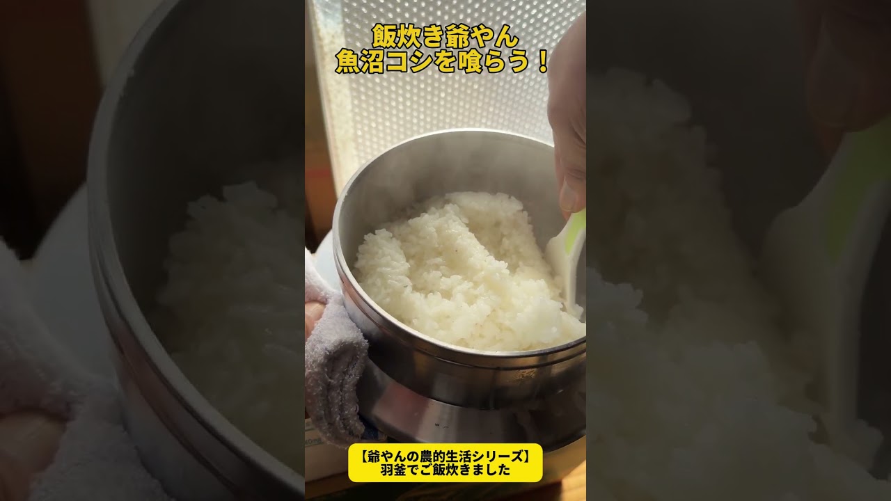 羽釜で炊く旨さ抜群の南魚沼産コシヒカリ【爺やんの農的生活】ごはんシリーズ