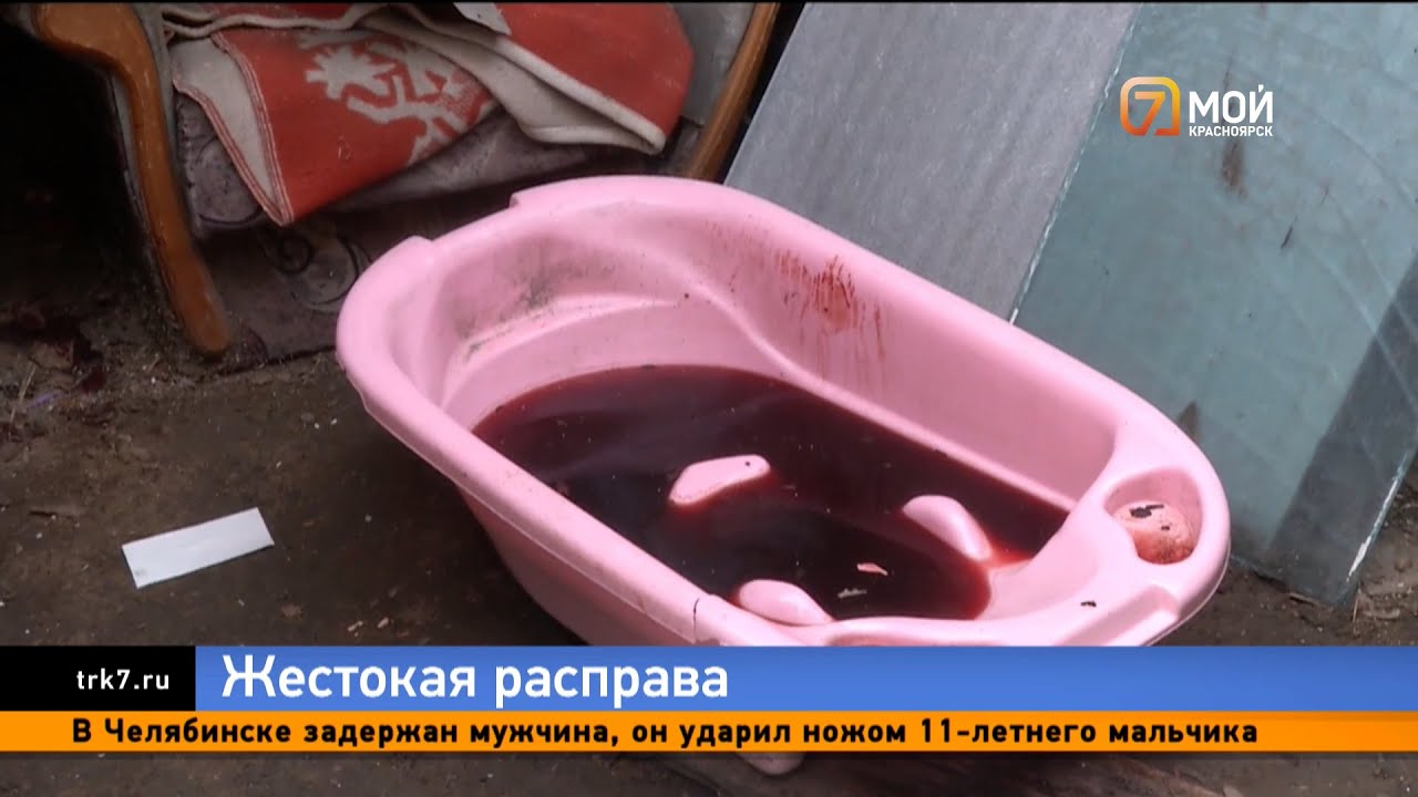 Психически нездоровая мать зарубила троих детей топором в Канске