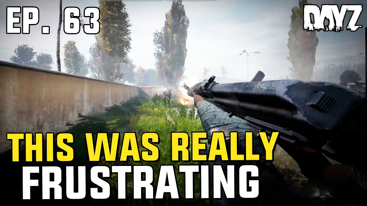 These guys should have died! - DayZ