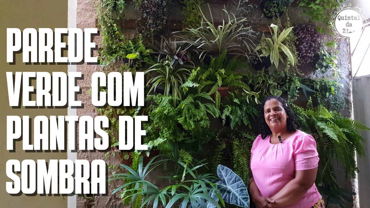 PAREDE VERDE: Como fazer um jardim vertical com plantas de sombra | Samambaias, Peperômias e cia.