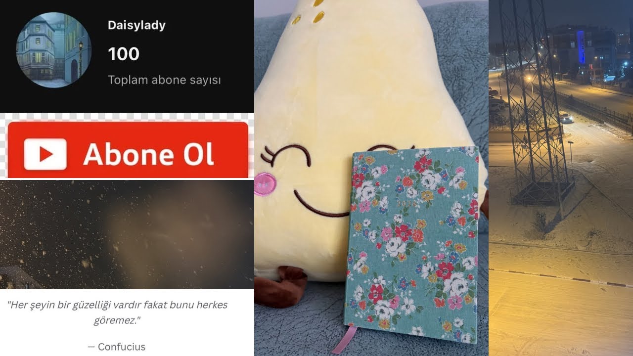 Ocak ayı son hafta kurulumu📗turunca temalı stickerlarım ve tatlış kedimle haftalık kuruluma devam