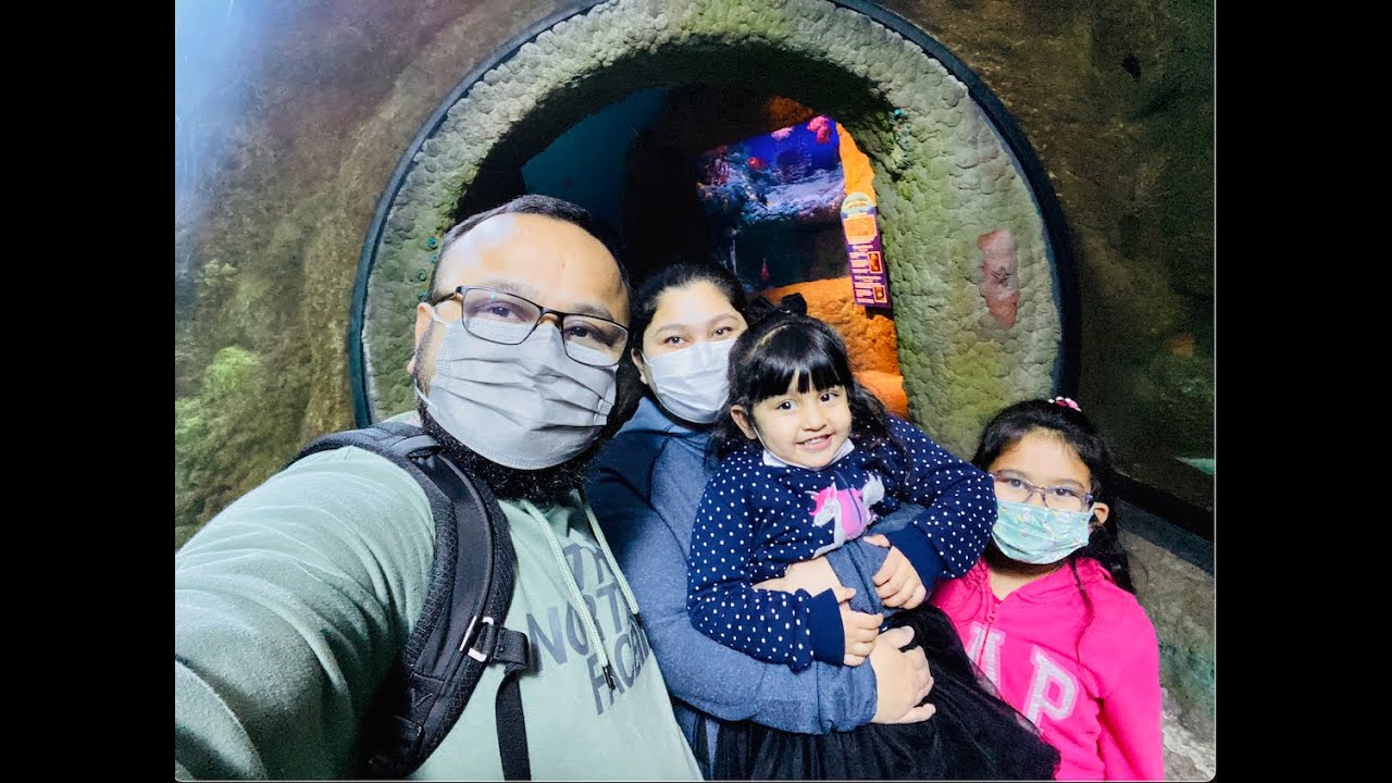 We visited Downtown Aquarium @ Denver [HD]