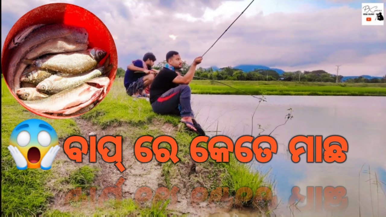 ବାପ୍ ରେ କେତେ ମାଛ 😱 || PKBROTHER ଙ୍କ ମାଛ ଧରା Challenge Complete || Odia Vlogs || #PKBROTHERODIAVLOGS
