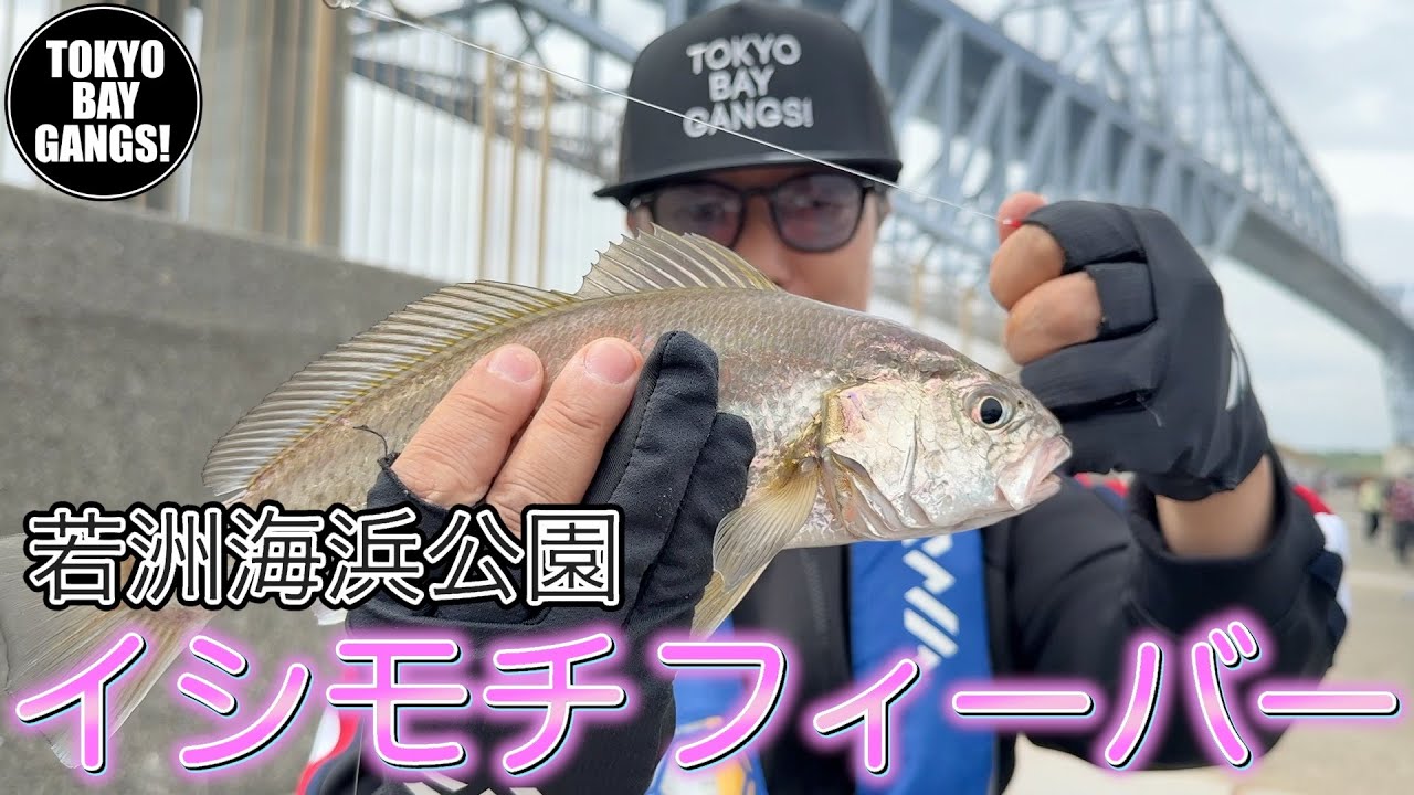 【初心者必見！】若洲海浜公園でイシモチフィバー！ TOKYO BAY GANGS
