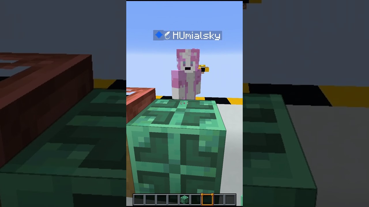 Minecraft kalambury, edycja dziwna