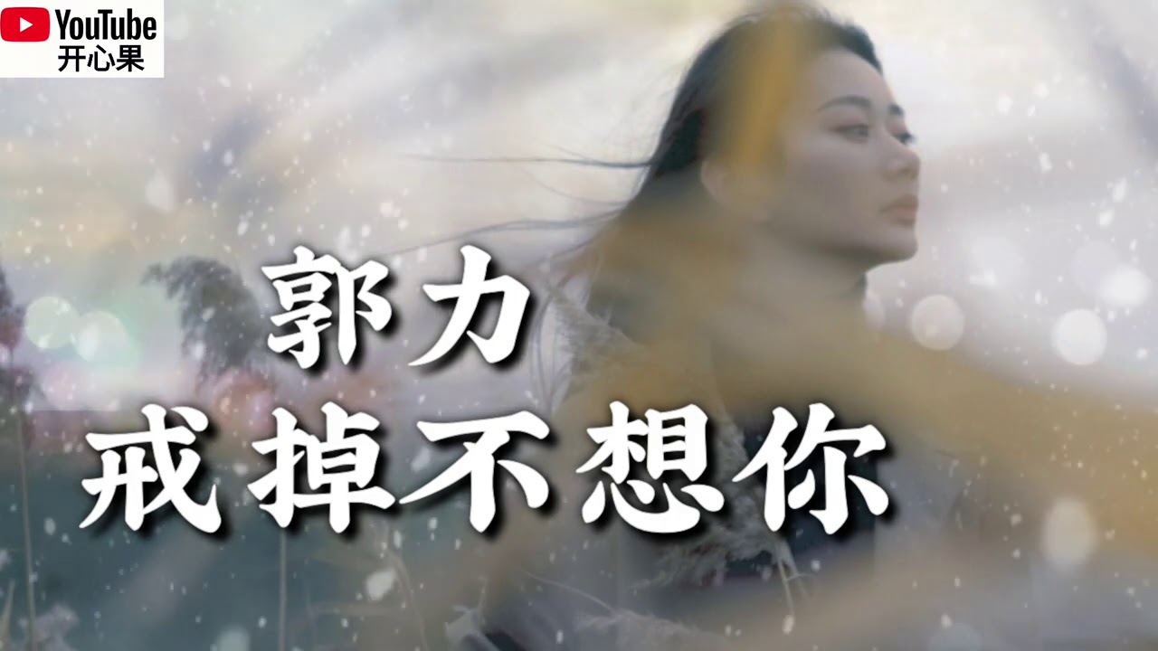 ❤️🎶郭力【戒掉不想你】🎶❤️